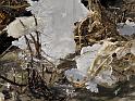 2012-02-01, Eisstrukturen (18)